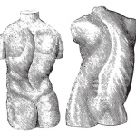 Escoliosis