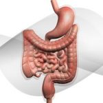 Complicaciones digestivas en lesión medular