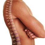 Movilidad y particularidades de la columna dorsal